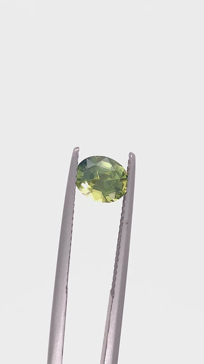 Green Sapphire — 1.52ct Oval | 7.20 x 5.90mm | Madagascar | Heated
