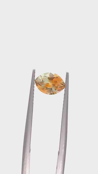 Montana Sapphire — 0.99ct Marquise | 7.70x5.55mm | USA | Heated