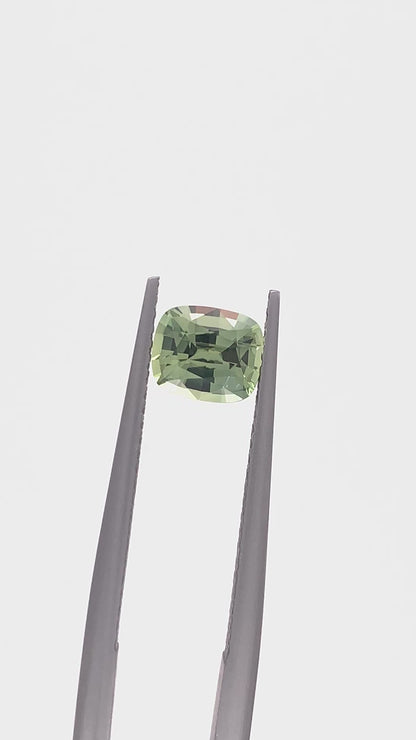 Green Sapphire — 1.05ct Cushion | 6.35 x 5.35mm | Tanzania | Heated