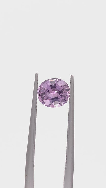 Montana Sapphire — 1.61ct Oval | 7.40x6.65mm | USA | Heated