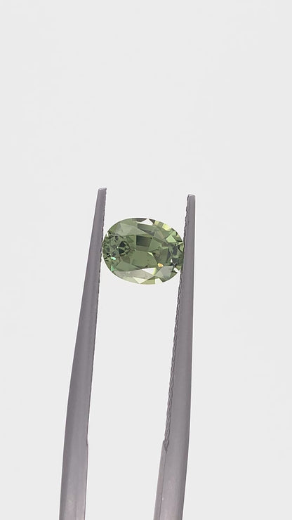 Green Sapphire — 1.07ct Oval | 6.80 x 5.40mm | Tanzania | Heated