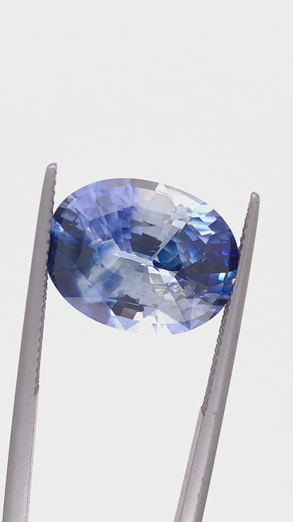 Blue Sapphire — 12.82ct Oval | 16.25 x 12.50mm | Sri Lanka | Heated