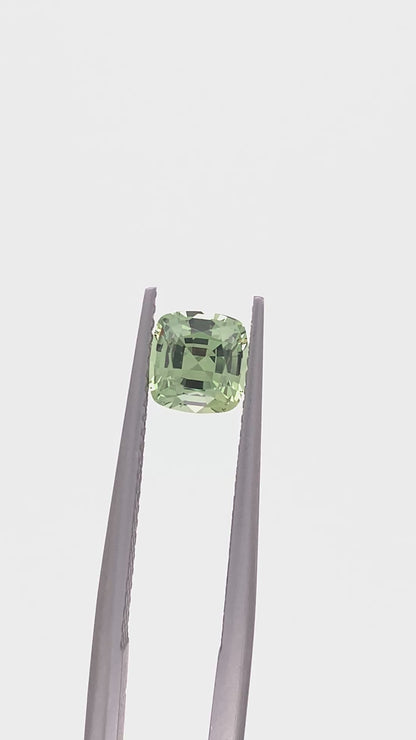 Green Sapphire — 1.13ct Cushion | 5.90 x 5.70mm | Tanzania | Heated