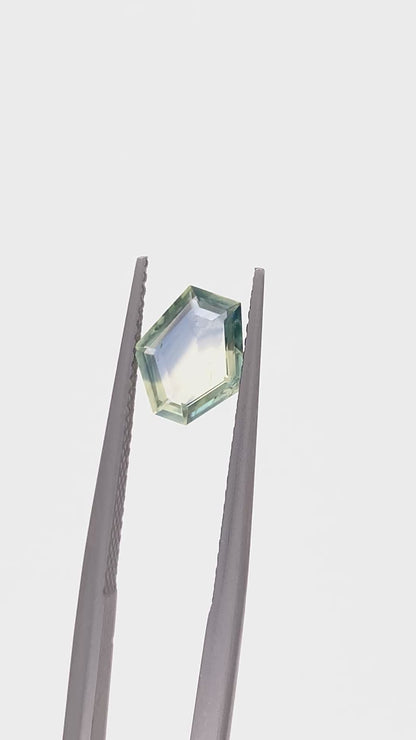 Montana Sapphire — 1.29ct Portrait | 8.40 x 7.50mm | USA | Heated