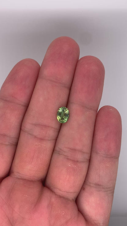 Green Sapphire — 1.81ct Oval | 8.00 x 6.10mm | Madagascar | Heated