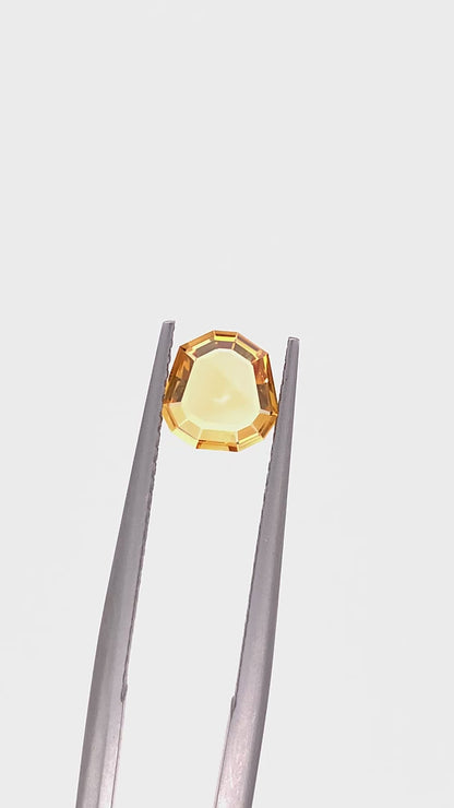 Montana Sapphire — 0.79ct Portrait | 6.65 x 6.50mm | USA | Heated