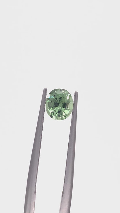 Green Sapphire — 1.00ct Oval | 6.30 x 5.45mm | Tanzania | Heated