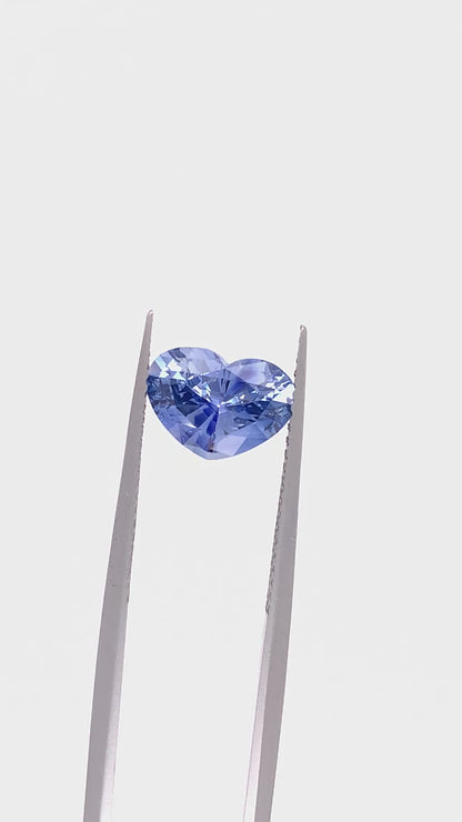 Blue Sapphire — 2.0ct Heart | 9.50 x 6.90mm | Sri Lanka | Heated